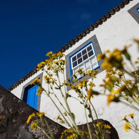 Casa Azul *